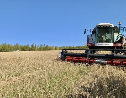 Хозяйствам Якутии окажут помощь в закупе семян для посева зерновых